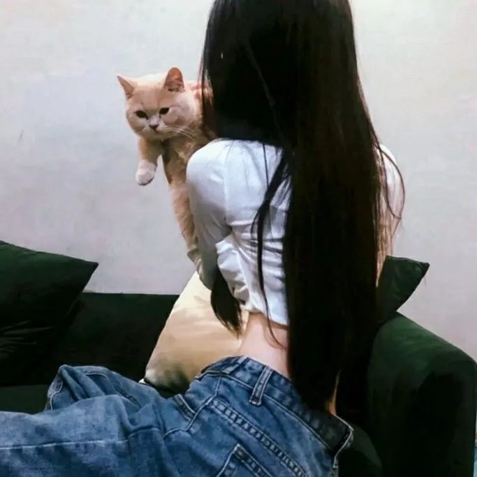 求婚大作战